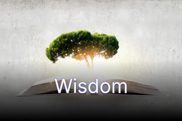Wisdom Quote